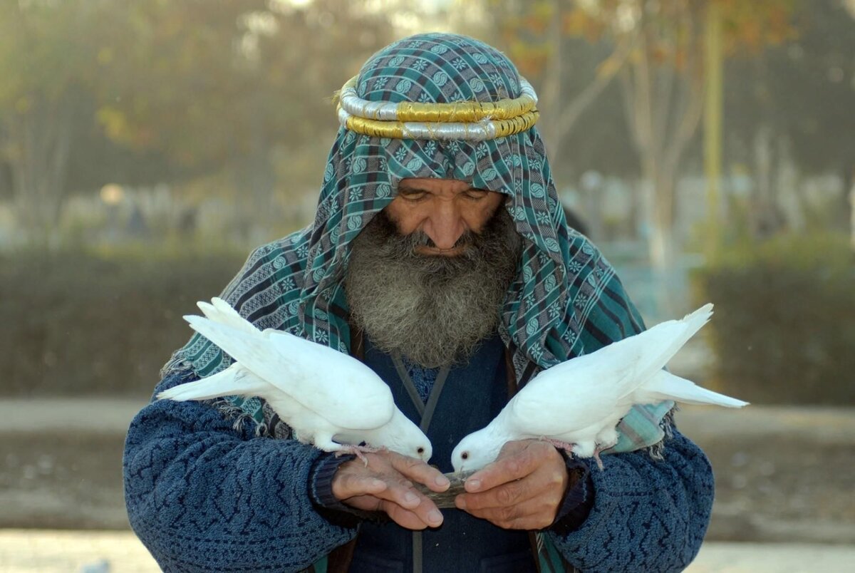 Самый лучший мудрец. Добро в Исламе. Добрые дела в Исламе. Жизнь закончилась. Добрый мусульманин.