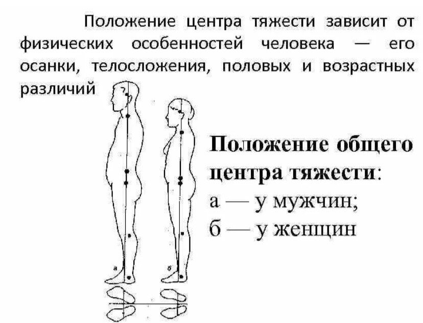 Зависимость положения тела. Центр тяжести тела человека биомеханика. Центр масс человека биомеханика. Центр тяжести у мужчин и женщин. Центр тяжести тела у мужчин и женщин.