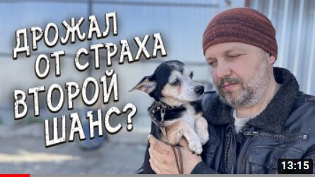 Download Video: Спасение животных / Второй шанс на пристрой для отказника из приюта