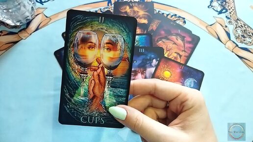 Таро wind. Таро wind. Таро wind. Причина таро. Таро wind.