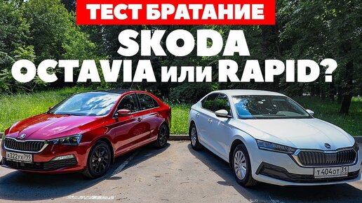 Skoda Octavia против Skoda Rapid. Братания не получилось. ТЕСТ ДРАЙВ ОБЗОР 2022