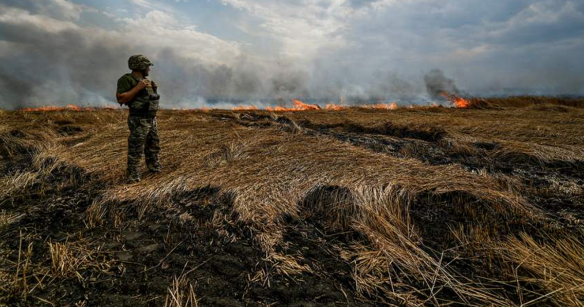Бои бола. Военное поле. Украинские войска в поле.