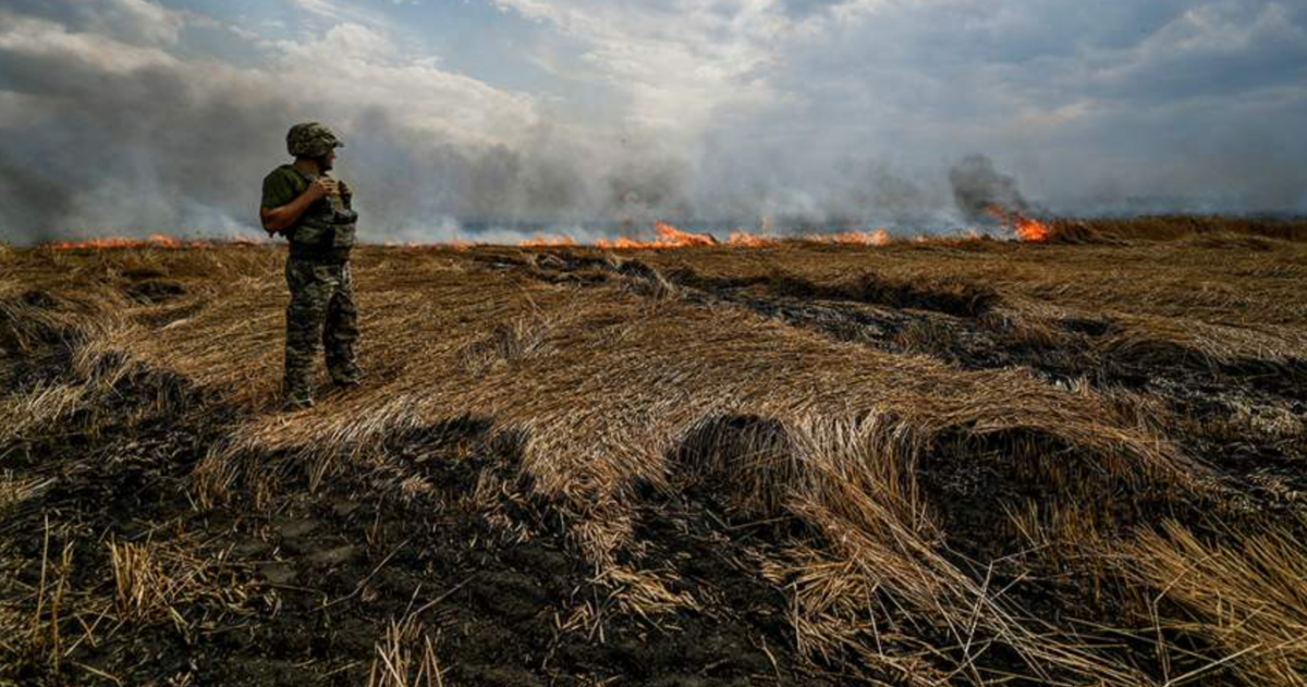 Потери всу в бахмуте. Военное поле. Украинские войска в поле.