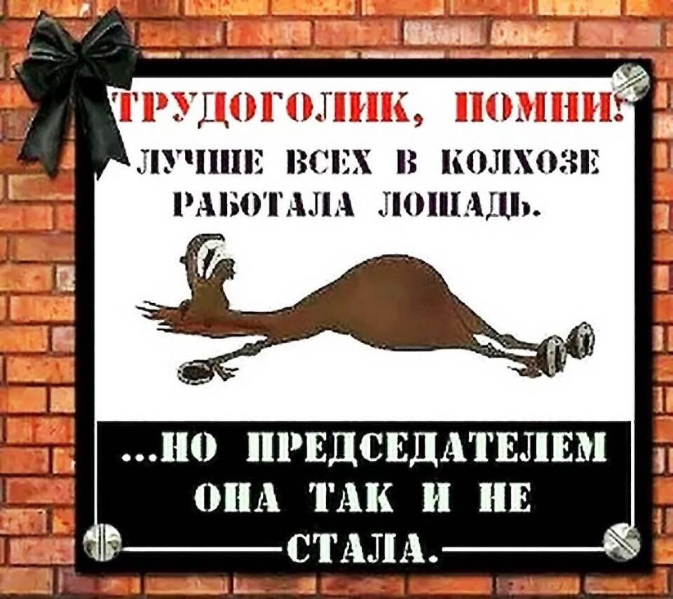 изображение из свободного доступа