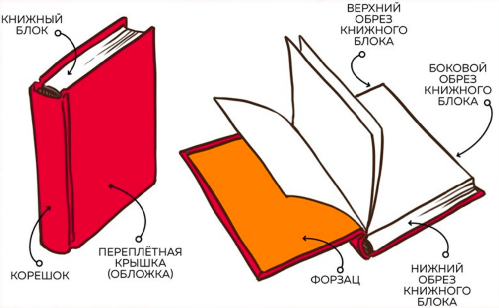 Из чего состоит структура книги. Из чего состоит книга схема для детей. Как называется часть книги сбоку. Как называется часть книги корешок.