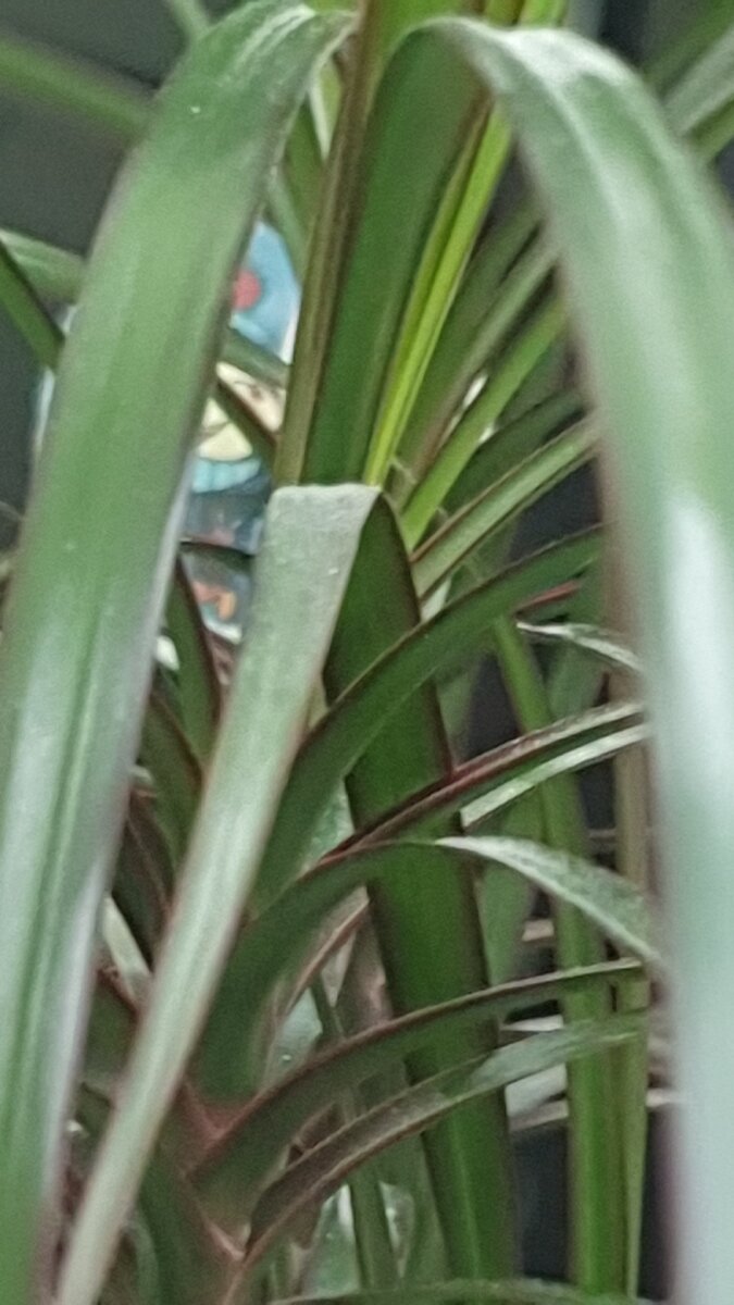 У меня хорош