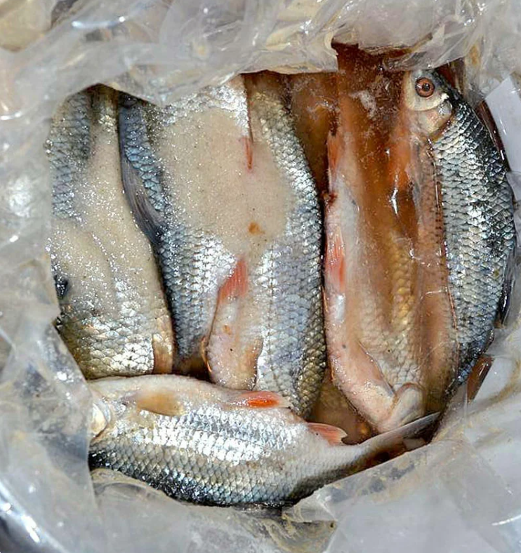 Добавьте описание