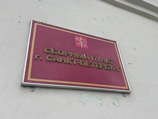     Программу обещают обновлять по мере поступления новой информации. Фото: МК в Питере