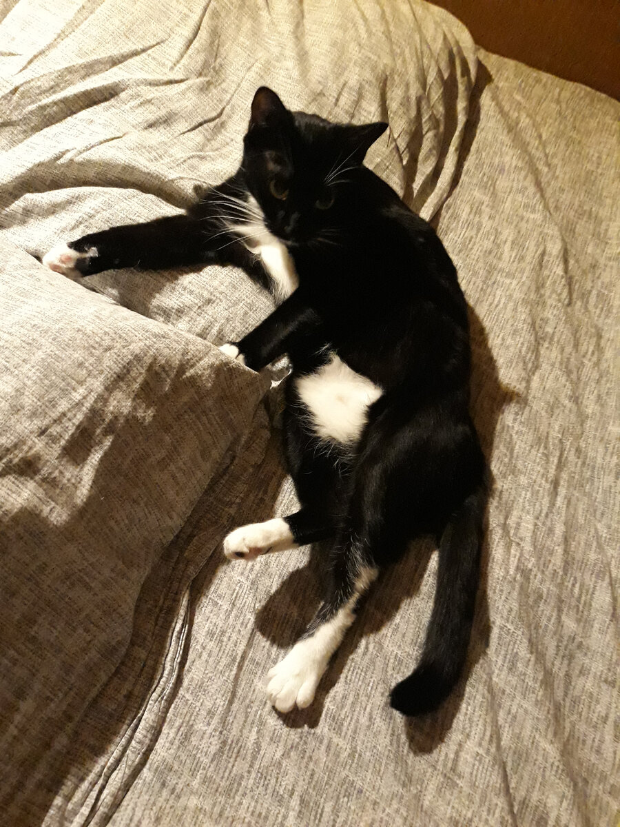 Майя приготовилась ко сну