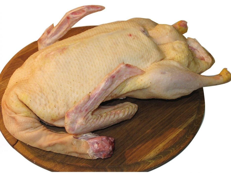 Изображение взято с Яндекс картинки https://goo.su/KrQeR