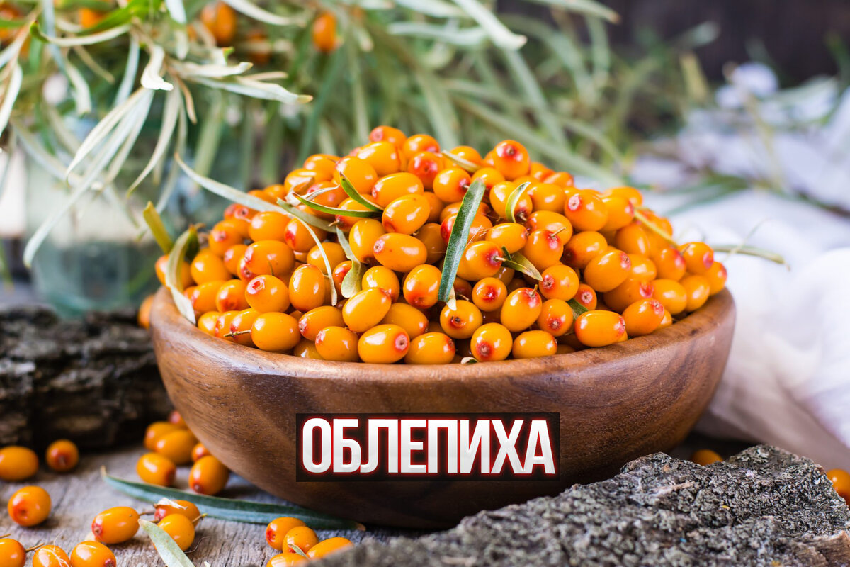 Облепиха есть ли косточки
