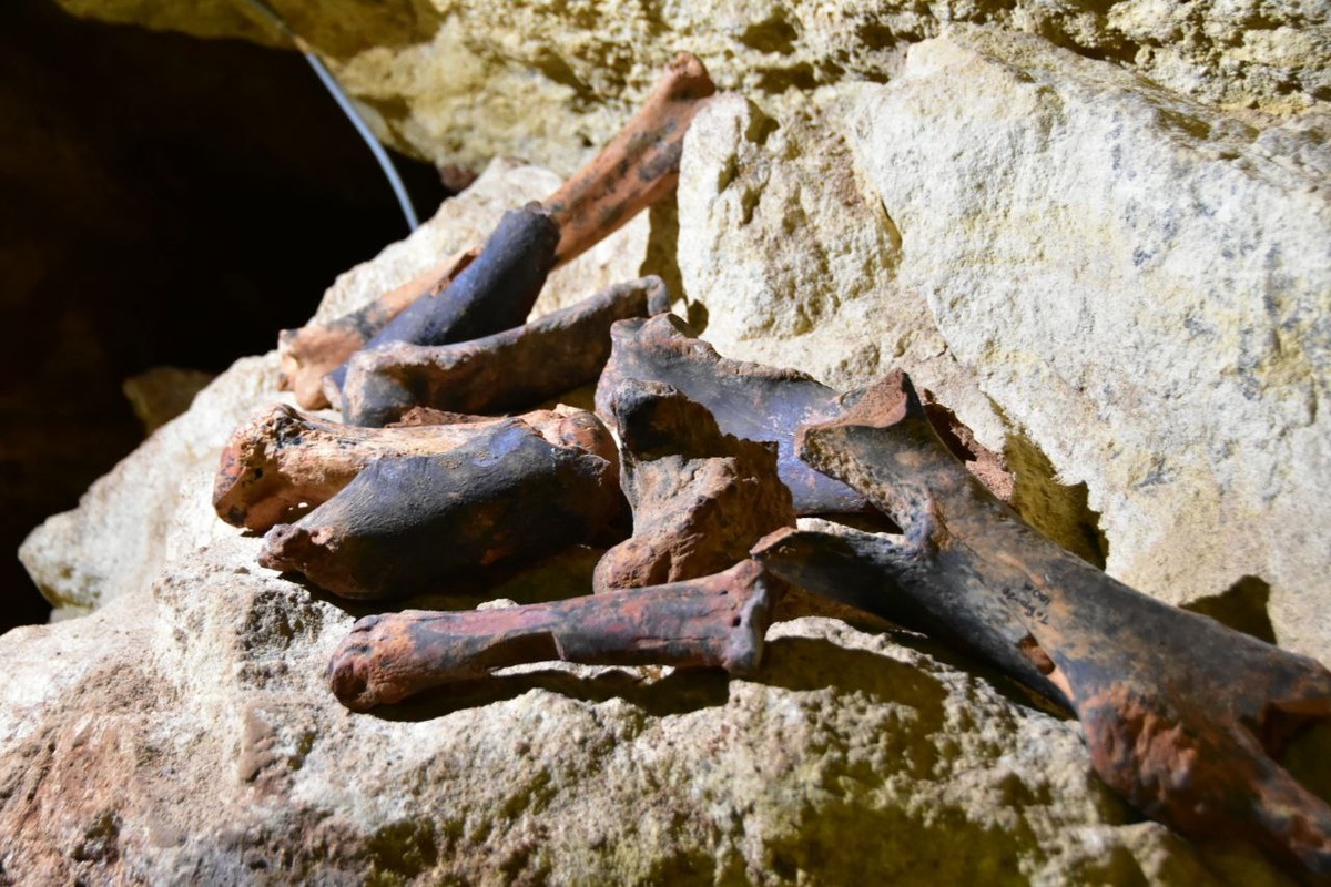 Фото: Гала Амарандо