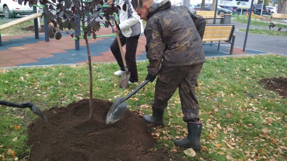    Администрация Тюмени