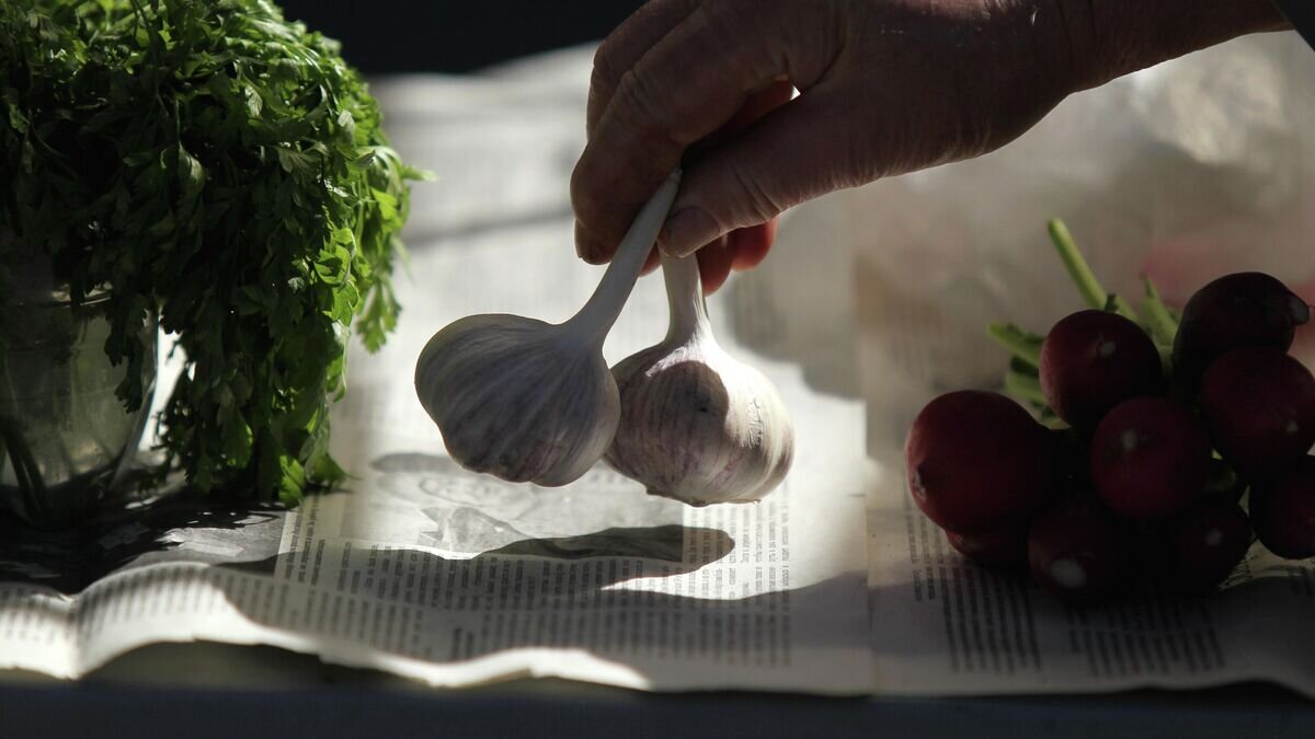    Чеснок© РИА Новости / Константин Чалабов