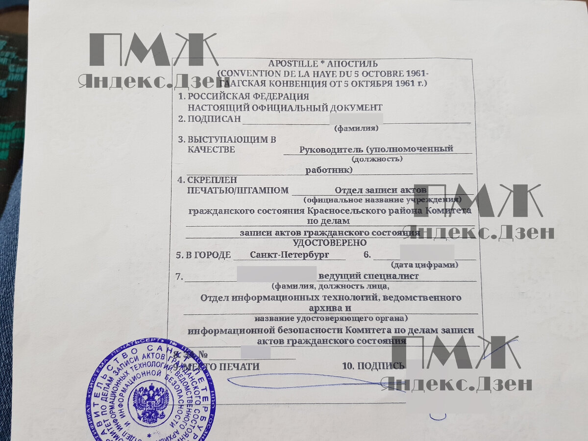 Как я проставила апостиль на свидетельство о рождении в Петербурге с  переводом (личный опыт) | ПМЖ | Дзен