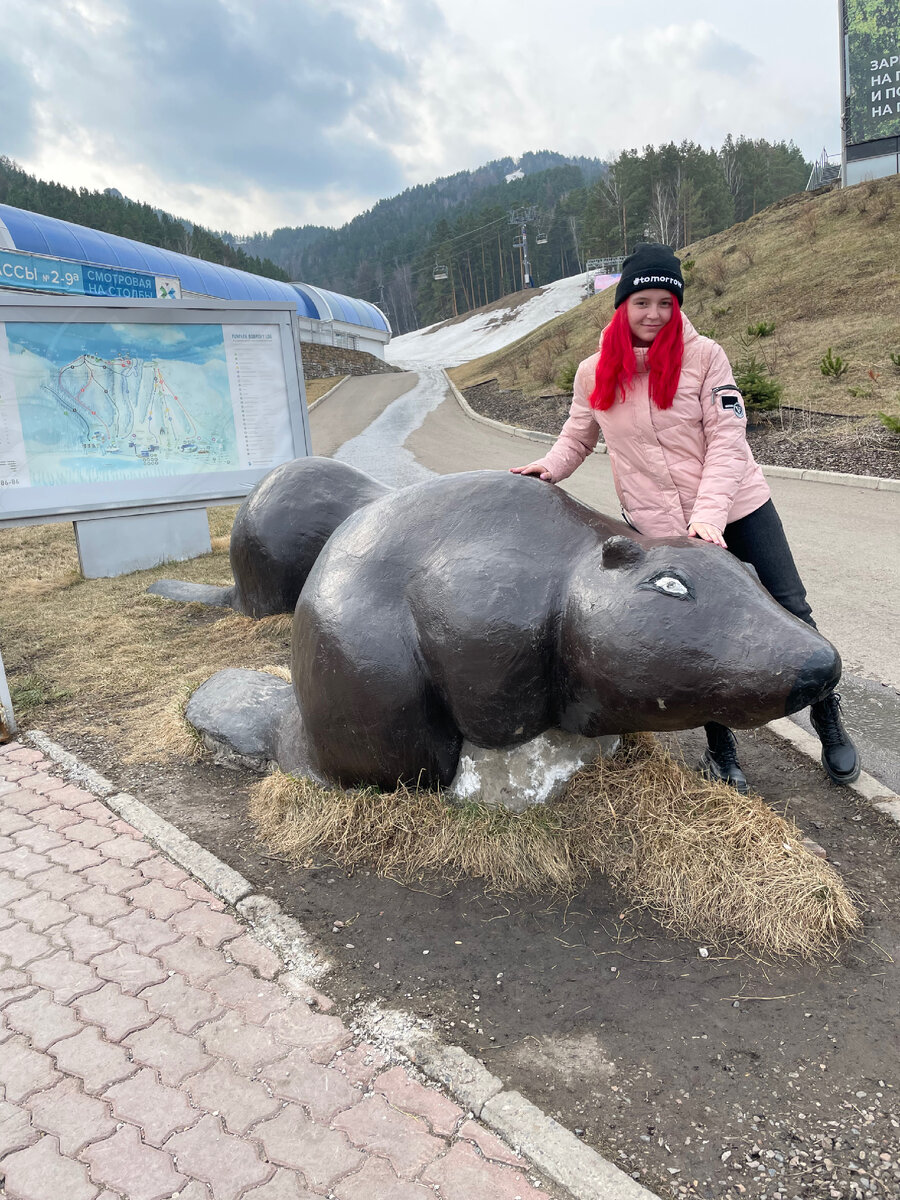 Такие милые бобры