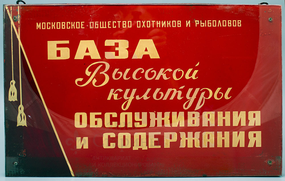 Все изображения из открытых источников.