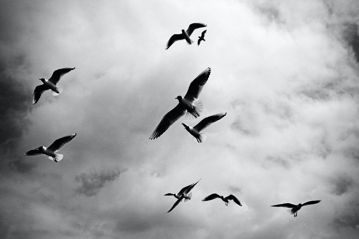 Photo by Chanan Greenblatt on Unsplash