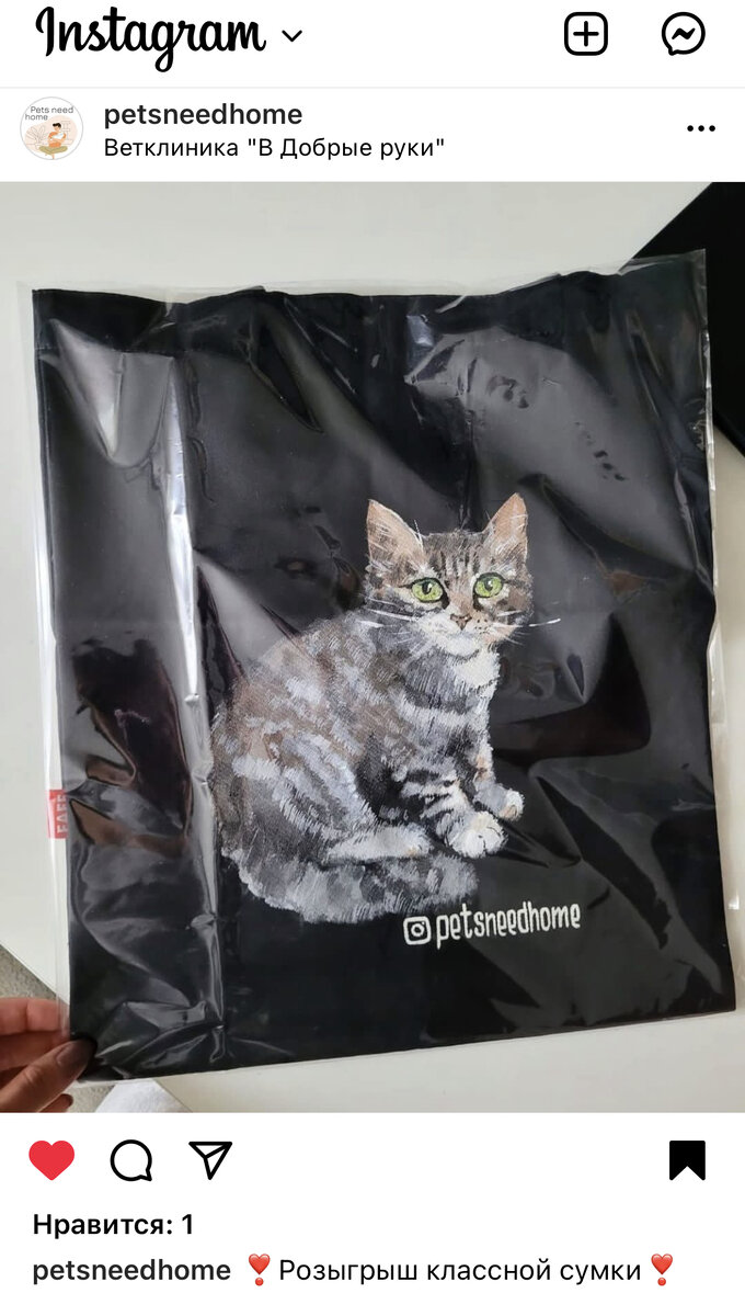 Второй такой сумки не будет 