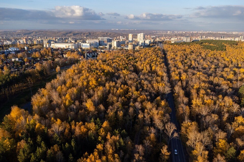     В Красноярске на новой рабочей неделе потеплеет до +11 градусов Мария ЛЕНЦ