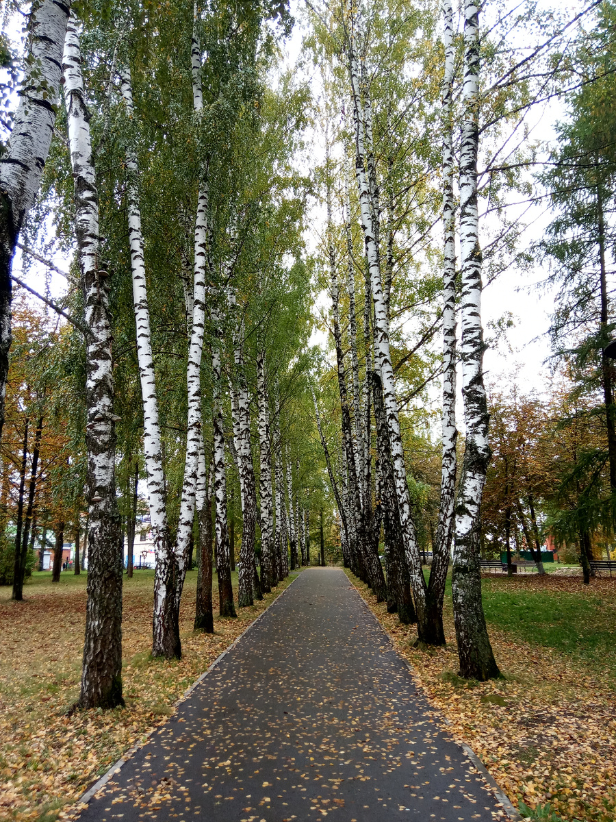 Фото автора.