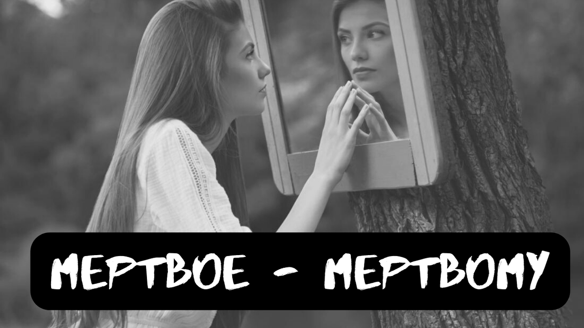 Не забудь подписаться, поставить лайк и написать в комментариях все, что думаешь об истории