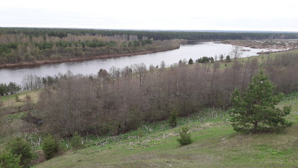 фото: А. Козлова