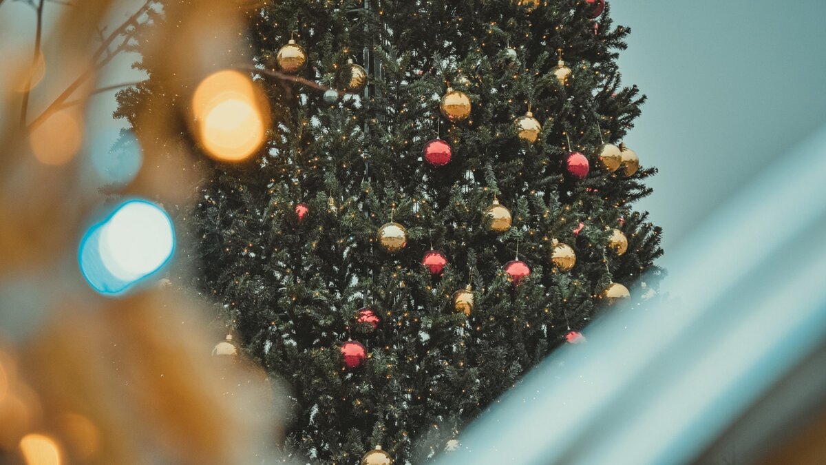     Предприниматель Валерий Кокорин установил елку чуть позже, чем обычно.