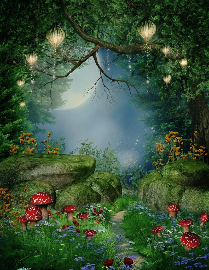 Сказочный лес. Фото из свободных источников Интернета.