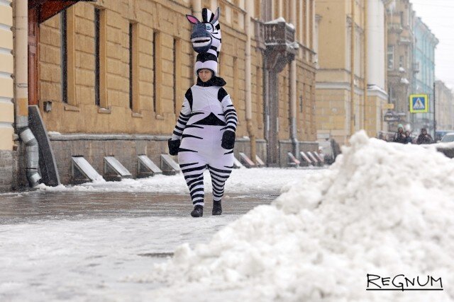    «Зебра» идет по гололеду Дарья Драй © ИА REGNUM