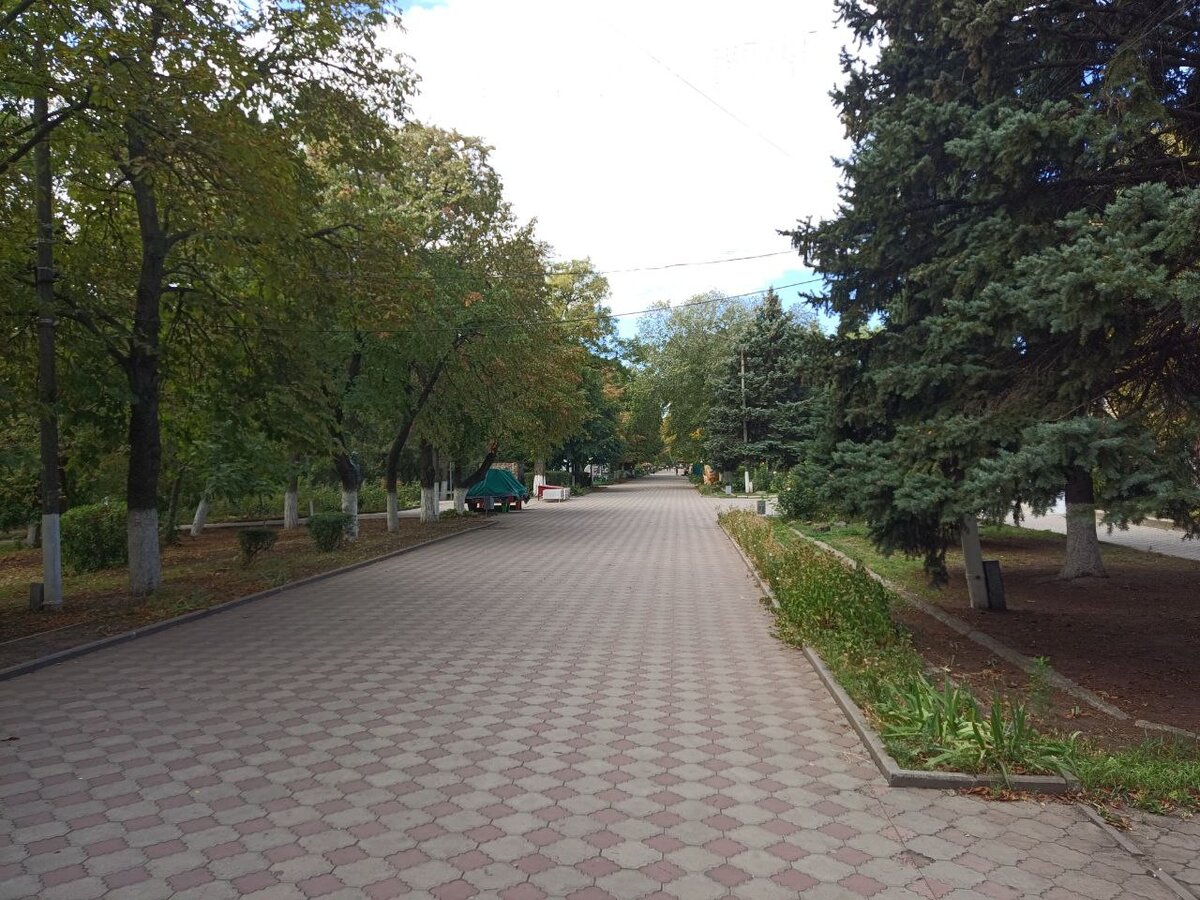 Главная аллея Александровского сада