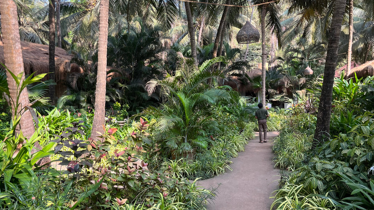 На территории одного из дорогих отелей на пляже Ашвем на севере