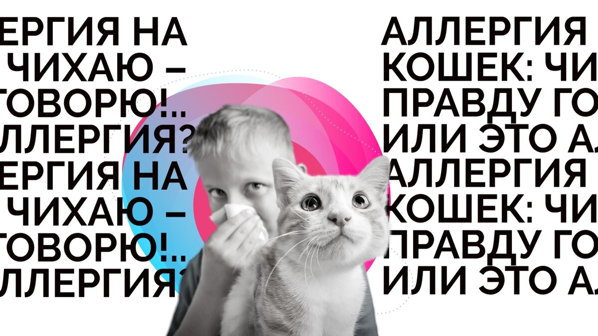 пмп при остановке сердца. будьте богаты когда чихаешь. когда чихаешь сердце останавливается. прикольные демотиваторы. интересные сердца.