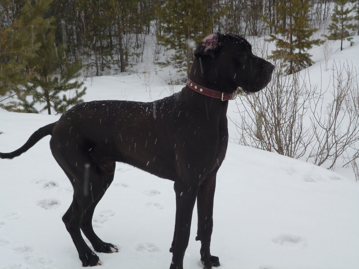 Мой незабытый друг - моя гордость!