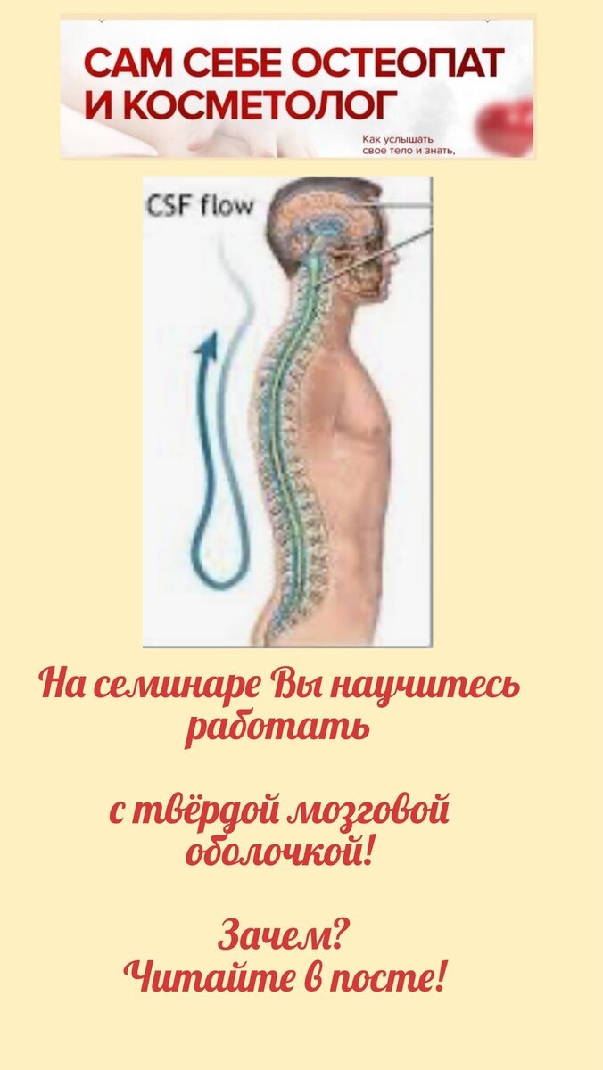 Твердая мозговая оболочка (ТМО) представляет собой своеобразный «плащ», натянутый между затылочной костью и костями таза. Таким образом, ТМО объединяет: череп – позвоночник – кости таза. 
Но при проблемах твердой мозговой оболочки она может стянуть кости черепа настолько, что их движение будет невозможным. Причин нарушения краниосакрального ритма много: родовые травмы, др. травмы, асимметрии в теле, тяги из тела, различные заболевания и т.п. 
Внутрикостное напряжение и блокировка костей черепа могут приводить к серьезным и ощутимым дисфункциям во всем теле.
Прорабатывая ее и устраняя напряжение, мы воздействуем на весь организм, гармонизируя работу всех систем.
