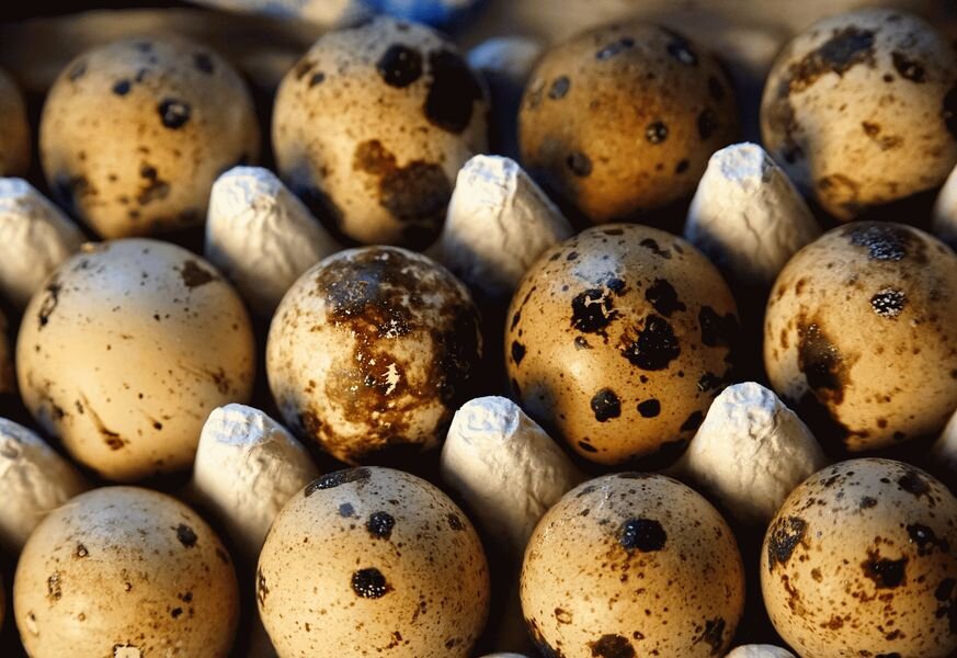 Фото beauty_of_nature, Pixabay