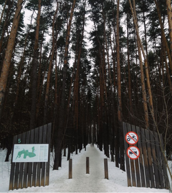 Вход в Мещерский лес. Фото: Анастасия Николайчук 