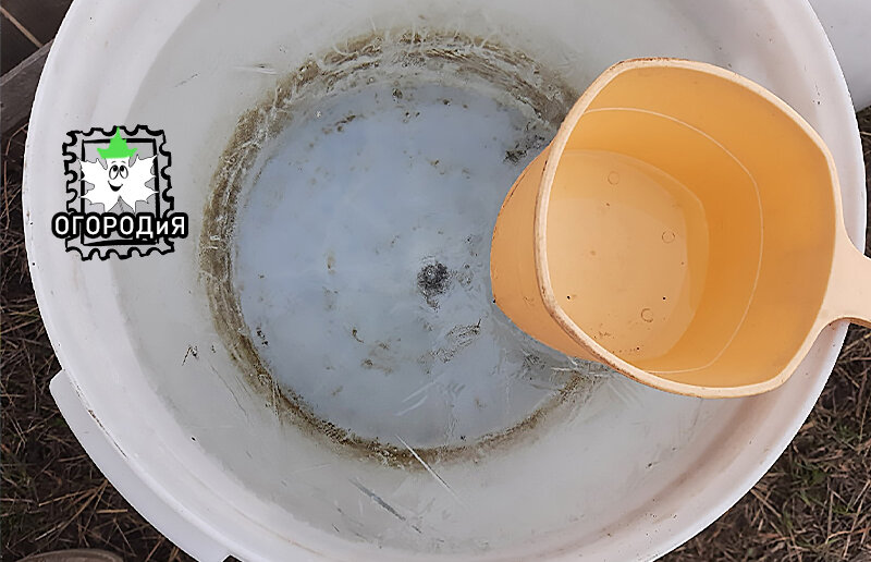 Ледок на воде утром