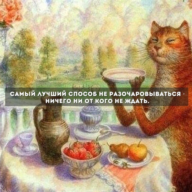 картинка с какого то интернета