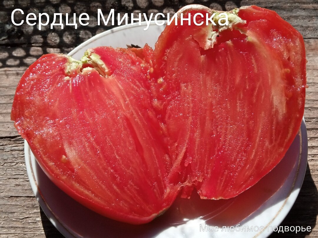 Сердце минусинска отзывы