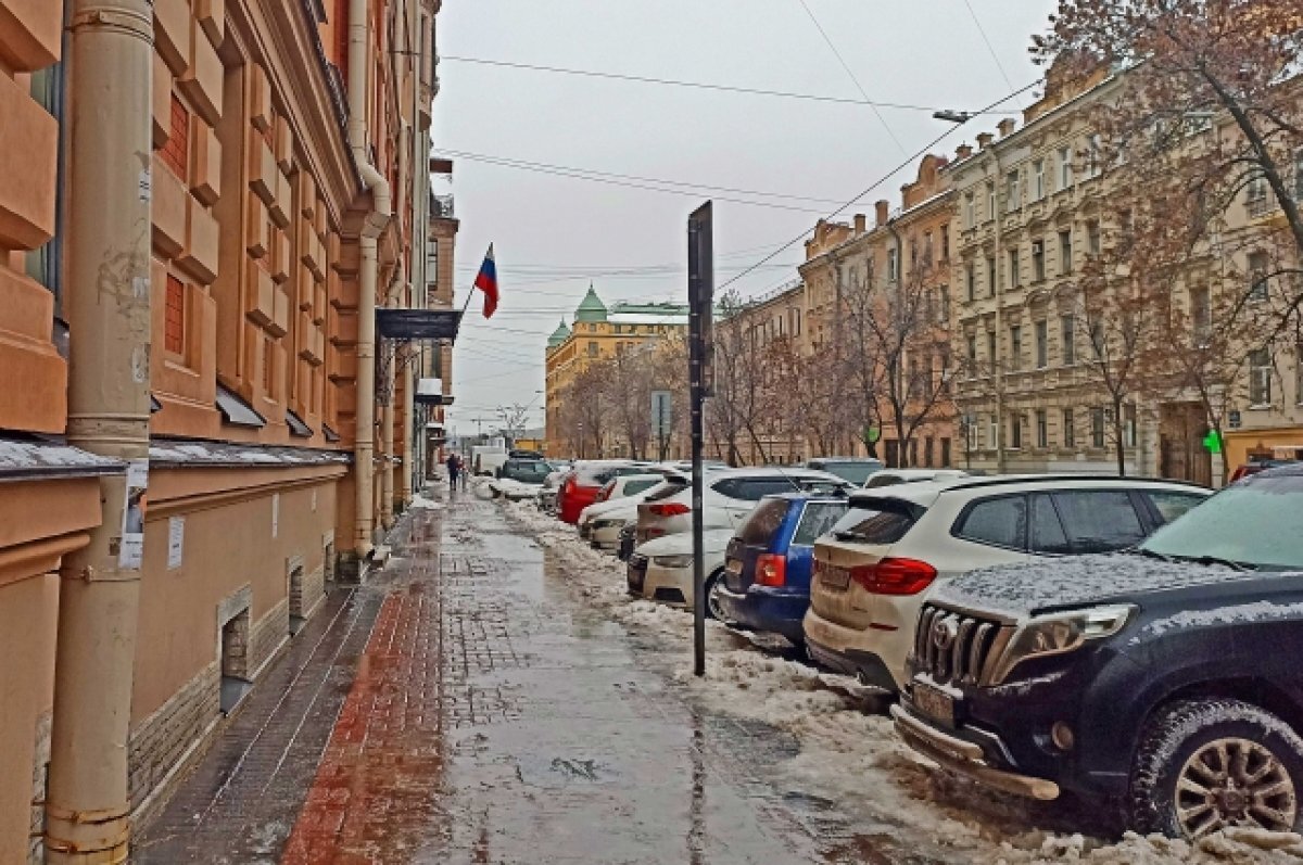    22 декабря в Петербурге сохранится дождливая и теплая погода