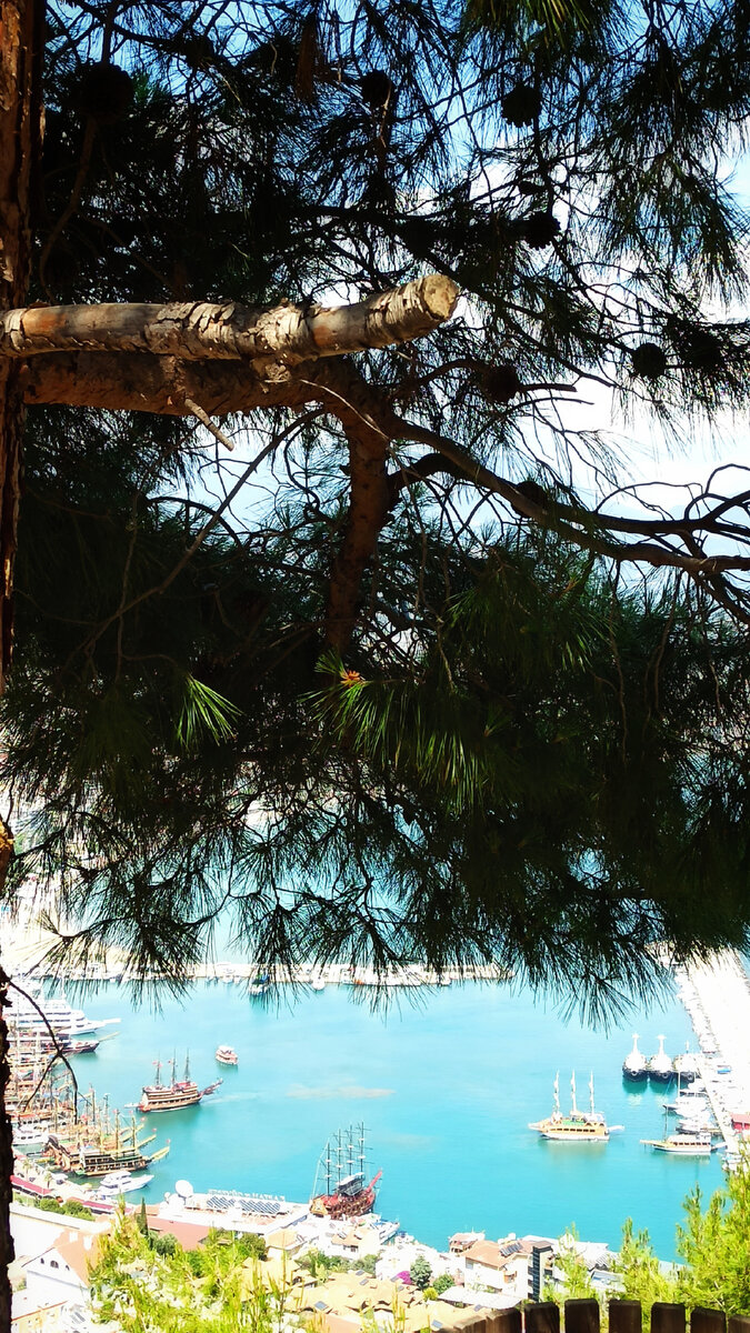 Вид на порт 