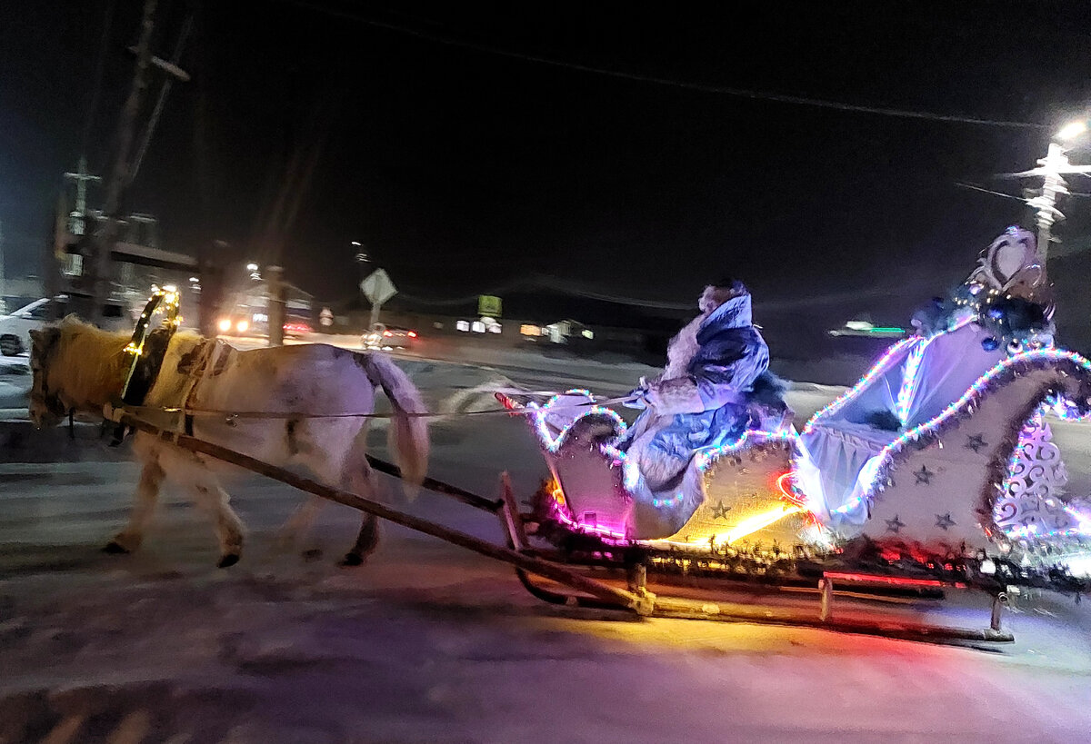 Неожиданная встреча в ночи... Фото автора