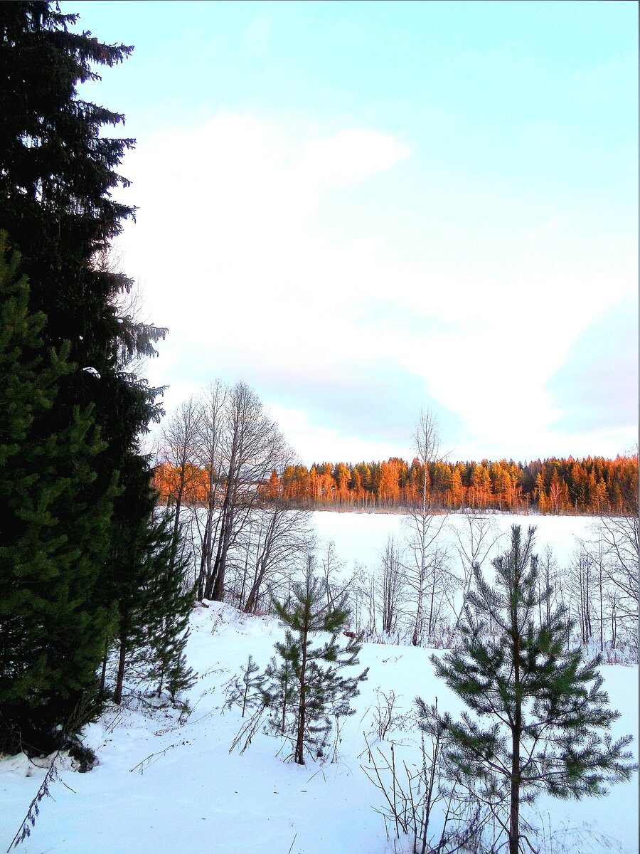 Обещанное красивое фото с маленького лесного озера.