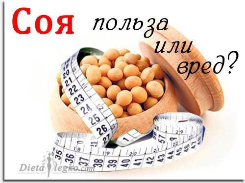 соя. чем полезна соя. чем вредна соя. соя польза и вред. соя польза.