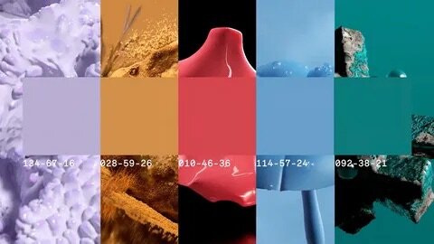 5 главных цветов 2023 по версии WGSN + COLORO: не все знают, что не только Pantone называет модные цвета