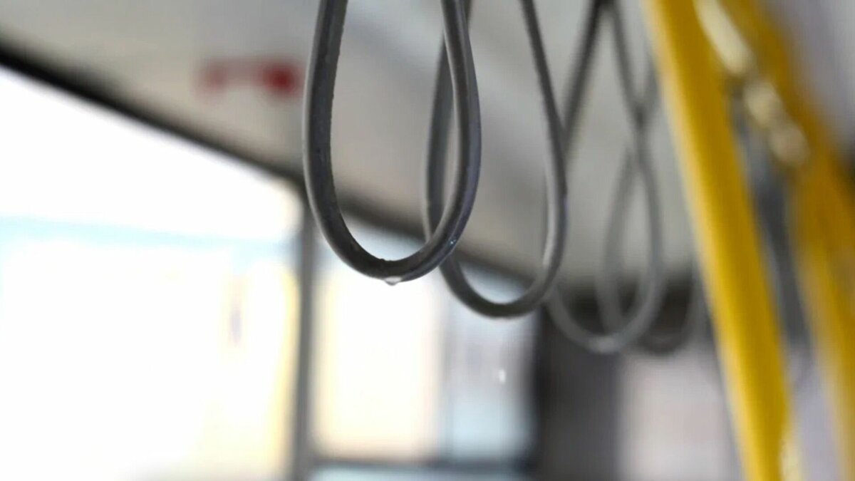     Министерство транспорта и дорожного хозяйства объявило конкурс для перевозчиков, чтобы определить, кто будет обслуживать маршрут до казанского аэропорта. Ему уже присвоили номер 119. Документация опубликована на сайте ведомства.