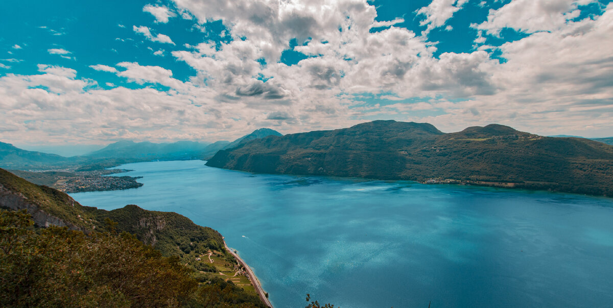 Photo by Mercvrie on Unsplash