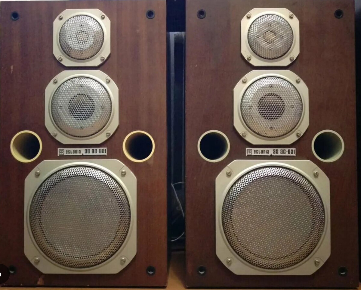 Фото из интернета 