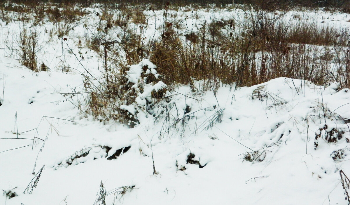 фото автора канала 